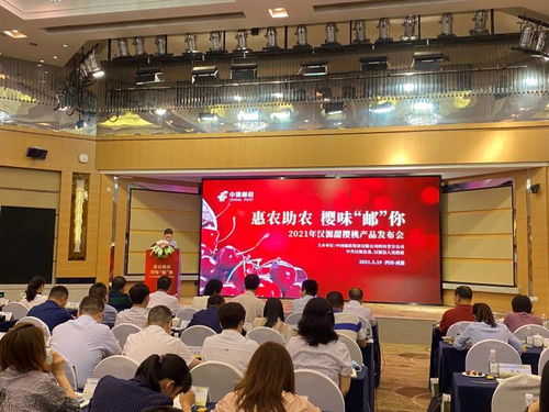 惠农助农 把汉源甜樱桃带回家 汉源甜樱桃产品发布会在蓉举行
